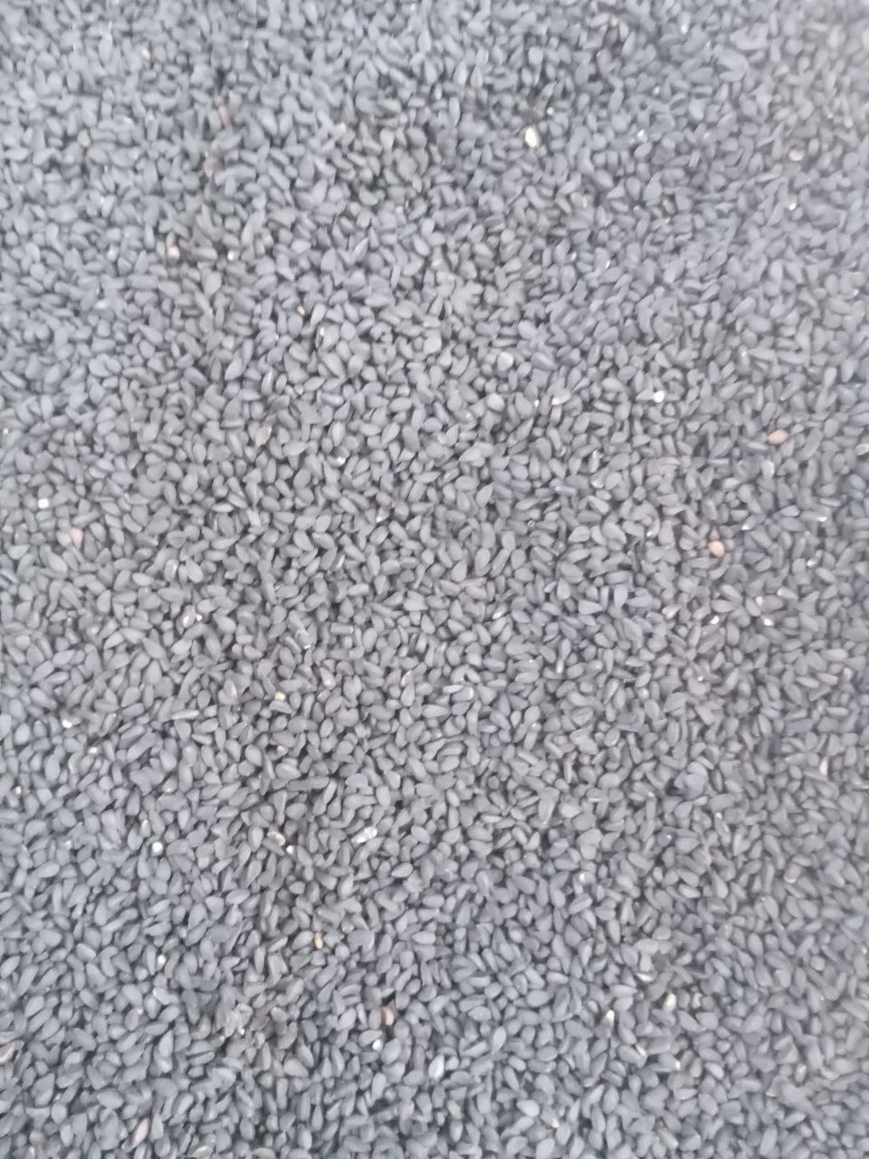 سیاه دانه